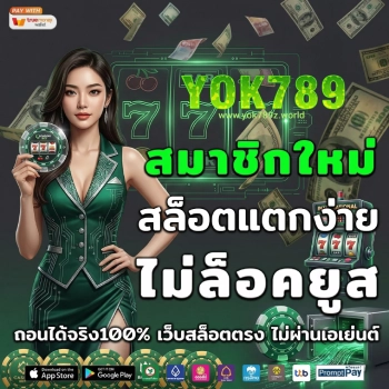 yok789 wallet